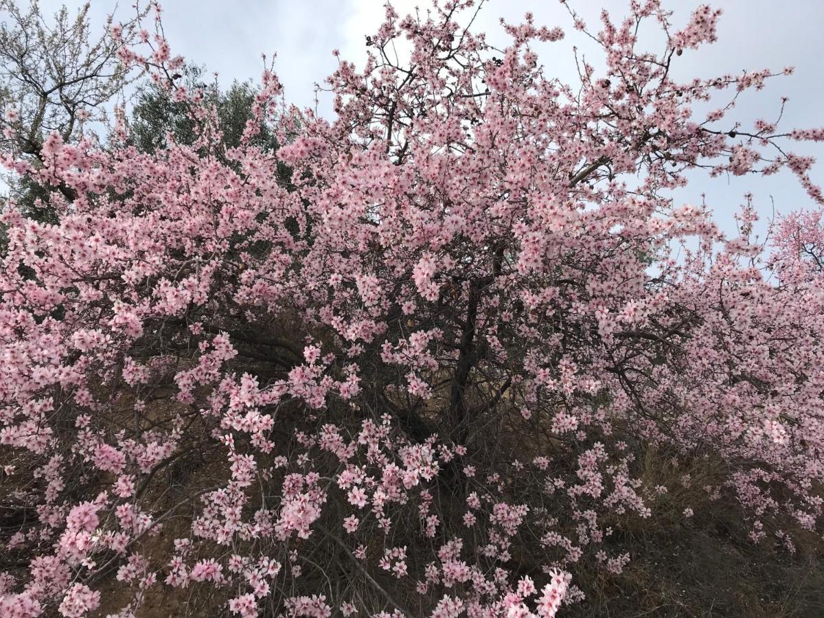 Pinos del Valle Casa Sol Y Aire - Vakantievilla In Dorp Met Prive Zwembad المظهر الخارجي الصورة